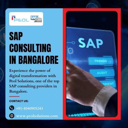SAP Consulting in Bangalore | SAP Development Services in India 1