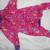 Pittie Dog  Clothing co. Brand New 3 thumbnail