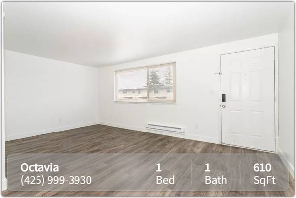 $1,495 / 1br - 610ft2 - Spacious 1 Bedroom. Available Now! (Shoreline)63814788826497122