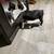 Boston terriers 2 thumbnail