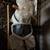 Rocking Horse 2 thumbnail