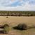 340 PR 2658 - 5 Acres For Sale 6 thumbnail