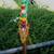 AMERICAN INDIAN POLE DANCING War COSTUME Halloween Decoration Prop 10 thumbnail