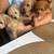 Toy poodle 1 thumbnail