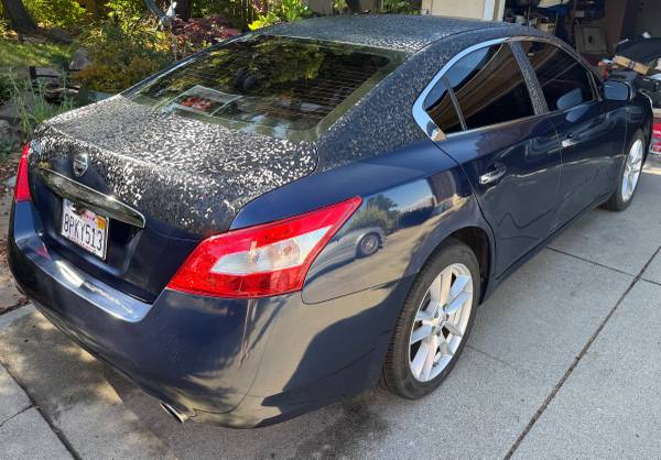 2011 Nissan Maxima S - $4,200 (concord / pleasant hill / martinez)63499025214723122