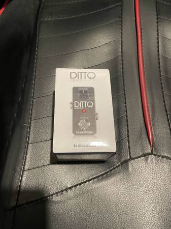 Ditto Looper 1