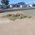 Encinas landscaping Llc 6 thumbnail