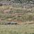 10+ ac Land & Cabin on Missouri River, power, fish, boat, hunt 11 thumbnail