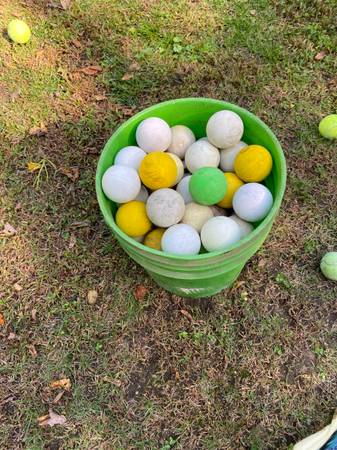 Lacrosse balls 1