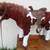 HEARTSONG 24" PLUSH BROWN WHITE PINTO RIDE ON HORSE w/ LIFE LIKE MANE 2 thumbnail