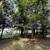 Martha Lake Home with 3 cabins 3 thumbnail