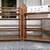 *7 FOLDING BOOKCASES and 2 LIFETIME 8' tables Great for vendors AS NEW 2 thumbnail