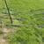 Tree stands 2 thumbnail