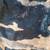 Women's Camo Pants (size 4-6) 1 thumbnail