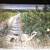 1985 Weyerhaeuser Wildlife Calendar 4 thumbnail