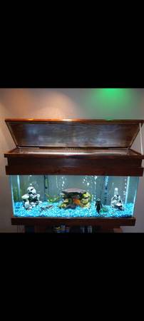 Soporte para acuario solo (Cheyenne)63655907043075122