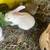 Bunny rabbits 5 thumbnail