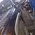 2000 GMC Sierra for parts 31,000 MI 2 thumbnail