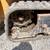 Vermeer mini skidsteer 11 thumbnail