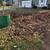 Reliable Fall Clean-up Landscaping services ~over seeding & more 12 thumbnail