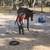 Horseback Riding Lessons 4 thumbnail