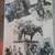 Two Vintage Gene Autry songbooks with Sheet Music/Lyrics and Photos 12 thumbnail