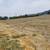 BRUSH WEEDS MOWING/Abatement TRACTOR SERVICE (EVERYWHERE!!) 12 thumbnail