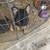 Puppies(German shepherds) 2 thumbnail