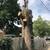 🇺🇸AMERICAN TREE TRIMMMING/TREE REMOVAL FULLY EQUIPPED 7 DAYS A WEEK 18 thumbnail