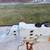 Dexter model 10 disc/Drum brake actuator 4 thumbnail