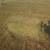Alfalfa hay $7 2 thumbnail
