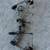 Mathews Mission Ballistic Compound Bow Right Hand 28” Draw & 50-70 lb. 1 thumbnail