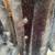 Vintage Wallachs Russel Tayler Fur Coat Size 14 2 thumbnail