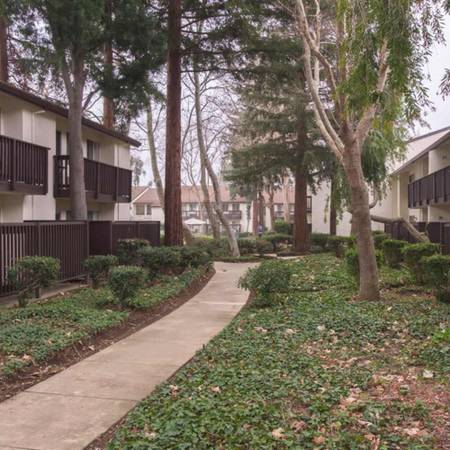 $1,842 / 1br - Valor excepcional. ¡Ubicación inmejorable! (concord / pleasant hill / martinez)63658013703299123