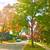 2 Bedroom Apt Des Plaines with Garage! 11 thumbnail