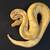 2 Ball Pythons - Male Banana Enchi Clown/ Female Super Pastel 1 thumbnail