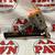 Paslode 5250/65 Positive Placement Pneumatic Framing Nailgun 11059335 1 thumbnail