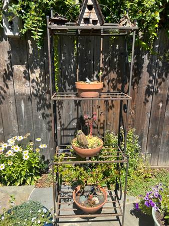 Wrought iron garden rack 1