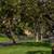 Looking For A Future Home? Look No Further! Waitlist! 9 thumbnail