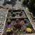 2 bedrooms, 1 full bath, in suite laundry. Garden level. 9 thumbnail