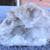 Quartz Geode 3 thumbnail