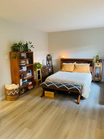 Deluxe studio with in-suite laundry – ASK ABOUT MOVE-IN BONUS! 1