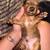 Miniature dachshunds 4 thumbnail