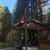 Landscaping, Demolition, Brush + Junk Removal, Decking and More! 16 thumbnail