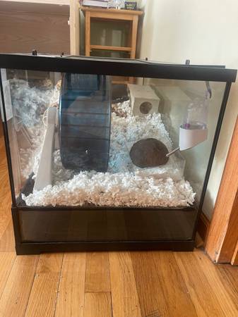 Hamster (Des Plaines)63918925051522121