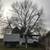 Tree removal, tree trimming, tree service, pruning, spring cleanup 3 thumbnail