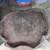 Reptile Supplies 6 thumbnail