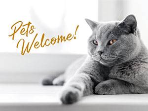 $1,216 / 2br - 728ft2 - Have a furry friend? We accept pets!63903539578370120