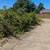 ONE CALL DOES IT ALL! BLACKBERRIES,TALL GRASS,GARBAGE,YARD DEBRI 3 thumbnail