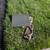 FREE ITEMS- outdoor furniture, home items, kid stuff and more 5 thumbnail